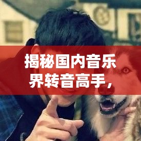 揭秘国内音乐界转音高手，转音排名前十的歌手盘点