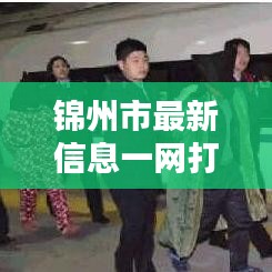 锦州市最新信息一网打尽！
