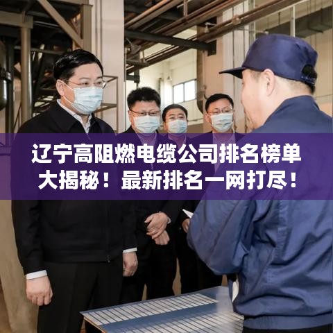 辽宁高阻燃电缆公司排名榜单大揭秘！最新排名一网打尽！