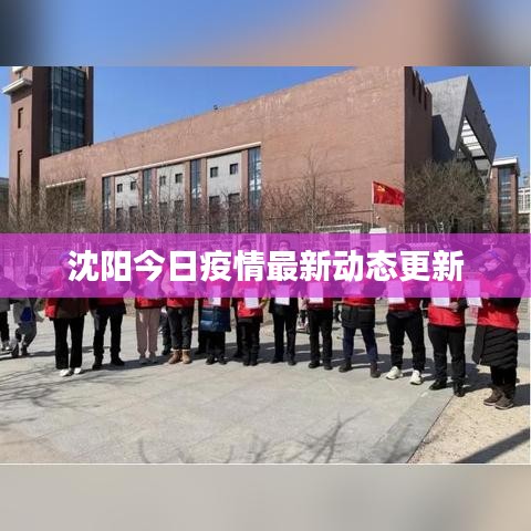 沈阳今日疫情最新动态更新