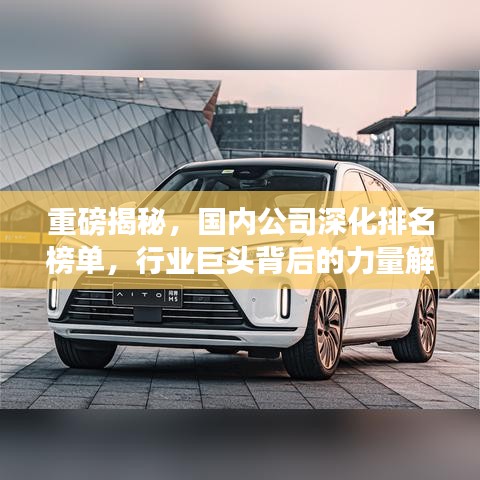 重磅揭秘，国内公司深化排名榜单，行业巨头背后的力量解析