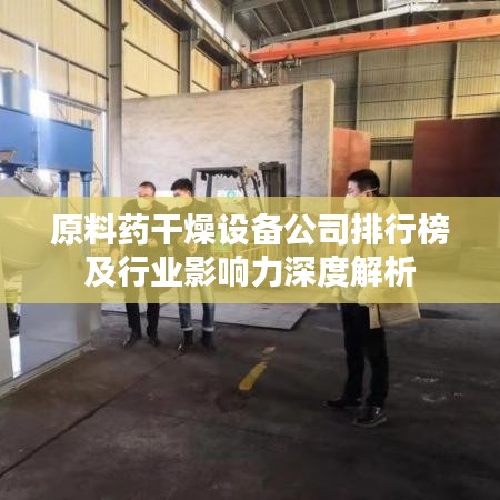 原料药干燥设备公司排行榜及行业影响力深度解析