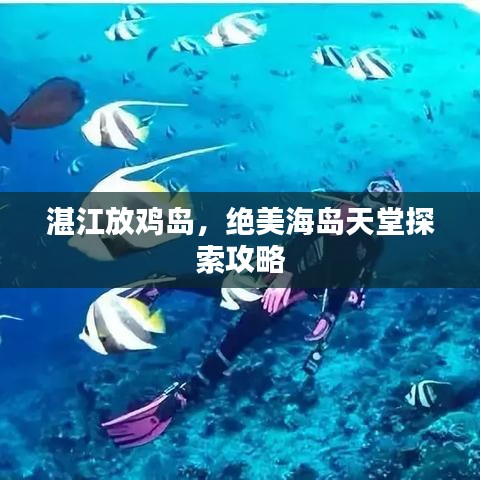 湛江放鸡岛，绝美海岛天堂探索攻略
