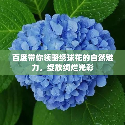 2025年6月12日 第47页