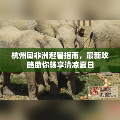 杭州回非洲避暑指南，最新攻略助你畅享清凉夏日