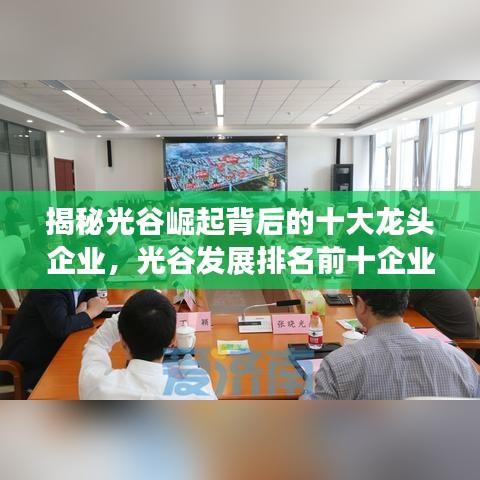 揭秘光谷崛起背后的十大龙头企业，光谷发展排名前十企业榜单揭晓！