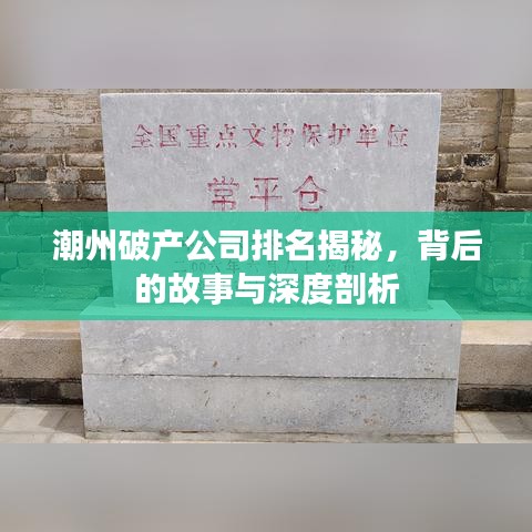 潮州破产公司排名揭秘，背后的故事与深度剖析