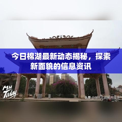 今日棉湖最新动态揭秘，探索新面貌的信息资讯