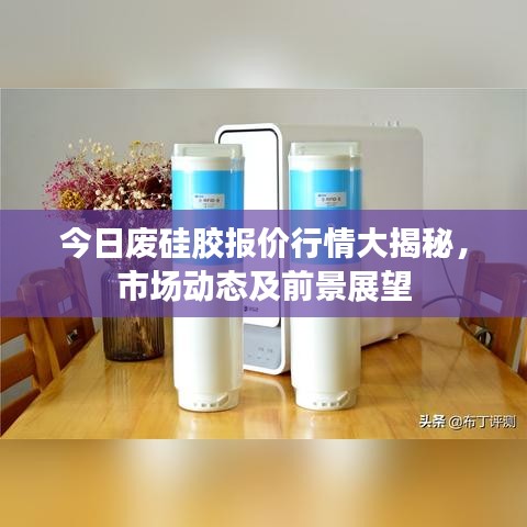 今日废硅胶报价行情大揭秘，市场动态及前景展望