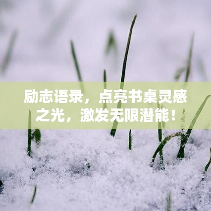 励志语录，点亮书桌灵感之光，激发无限潜能！