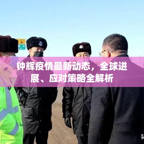 钟辉疫情最新动态，全球进展、应对策略全解析