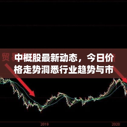 中概股最新动态，今日价格走势洞悉行业趋势与市场动态