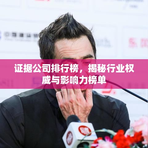 证据公司排行榜，揭秘行业权威与影响力榜单