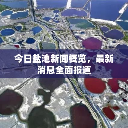 今日盐池新闻概览，最新消息全面报道