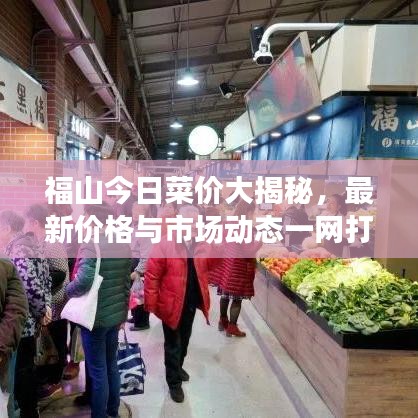 福山今日菜价大揭秘，最新价格与市场动态一网打尽