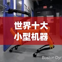 世界十大小型机器人榜单揭晓，微型科技奇迹引领未来探索之旅