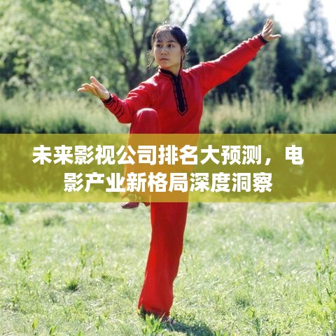 未来影视公司排名大预测，电影产业新格局深度洞察