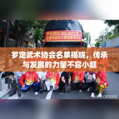 罗定武术协会名单揭晓，传承与发展的力量不容小觑