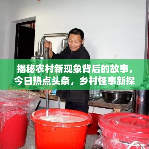 揭秘农村新现象背后的故事，今日热点头条，乡村怪事新探秘