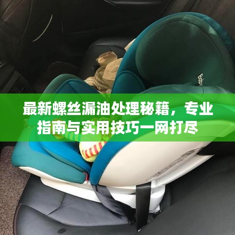 最新螺丝漏油处理秘籍，专业指南与实用技巧一网打尽