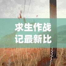 求生作战记最新比赛攻略秘籍，决胜关键，掌握制胜法宝！
