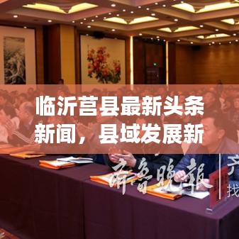 临沂莒县最新头条新闻，县域发展新动态聚焦
