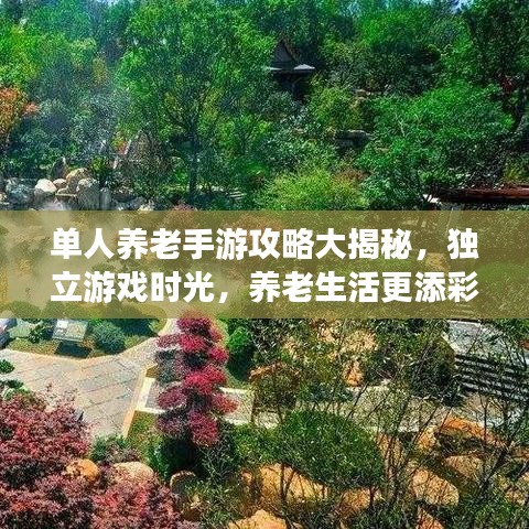 单人养老手游攻略大揭秘，独立游戏时光，养老生活更添彩！