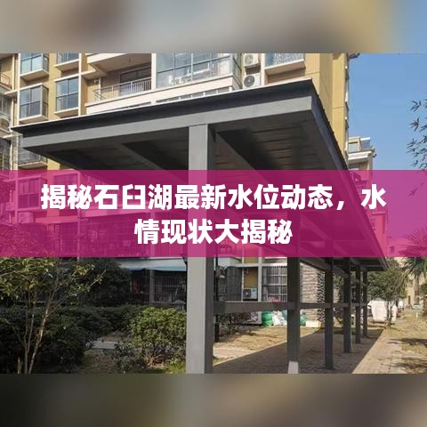 揭秘石臼湖最新水位动态，水情现状大揭秘