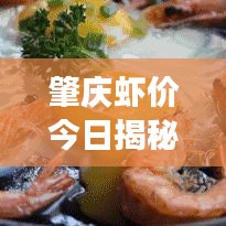 肇庆虾价今日揭秘，市场走势、影响因素与未来展望分析