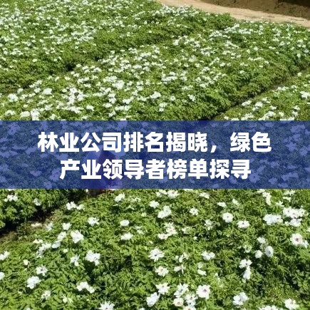 林业公司排名揭晓，绿色产业领导者榜单探寻