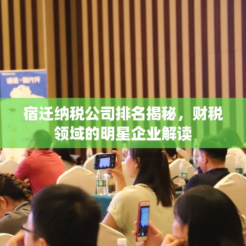 宿迁纳税公司排名揭秘，财税领域的明星企业解读