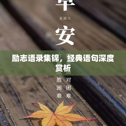 励志语录集锦，经典语句深度赏析