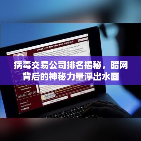 病毒交易公司排名揭秘，暗网背后的神秘力量浮出水面