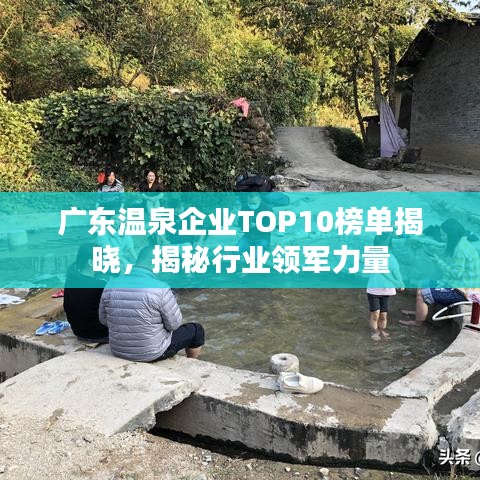 广东温泉企业TOP10榜单揭晓，揭秘行业领军力量