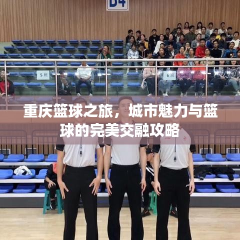 重庆篮球之旅，城市魅力与篮球的完美交融攻略