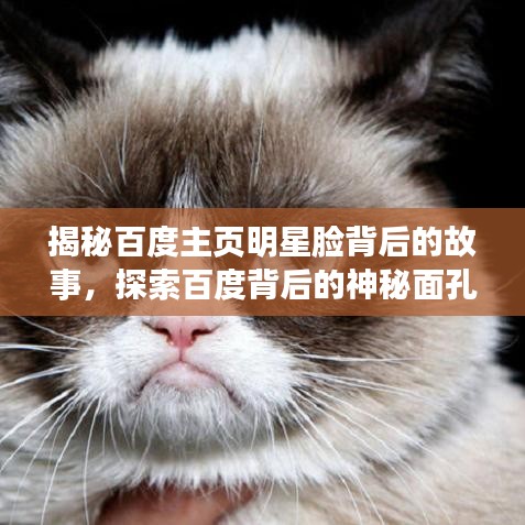 揭秘百度主页明星脸背后的故事，探索百度背后的神秘面孔