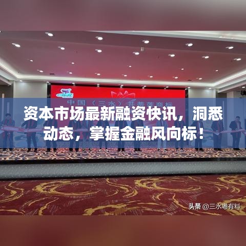 资本市场最新融资快讯，洞悉动态，掌握金融风向标！