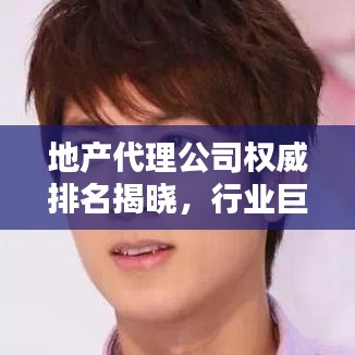 地产代理公司权威排名揭晓，行业巨头背后的秘密大揭秘！