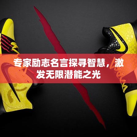 专家励志名言探寻智慧，激发无限潜能之光