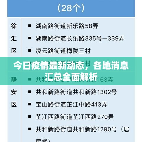 今日疫情最新动态，各地消息汇总全面解析