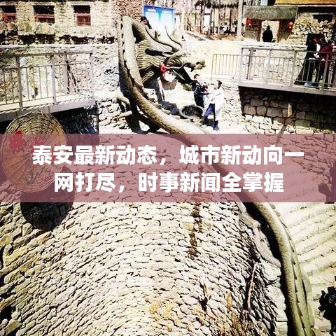 泰安最新动态，城市新动向一网打尽，时事新闻全掌握