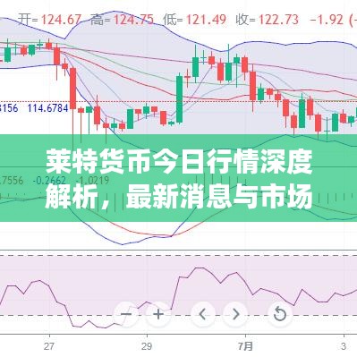 莱特货币今日行情深度解析，最新消息与市场洞察