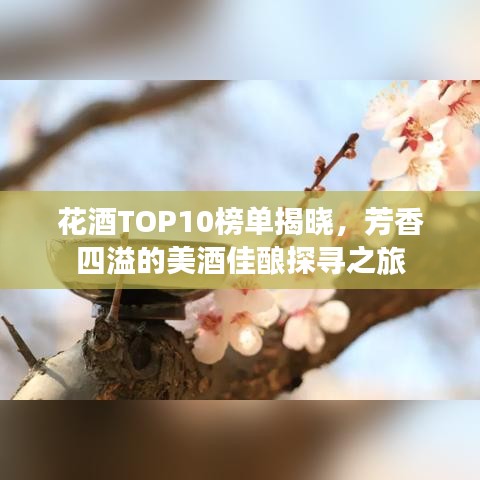 花酒TOP10榜单揭晓，芳香四溢的美酒佳酿探寻之旅