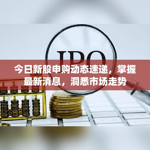今日新股申购动态速递，掌握最新消息，洞悉市场走势