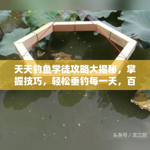 天天钓鱼学徒攻略大揭秘，掌握技巧，轻松垂钓每一天，百度收录标准标题！