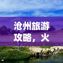 沧州旅游攻略，火车穿行城市，魅力之旅探索