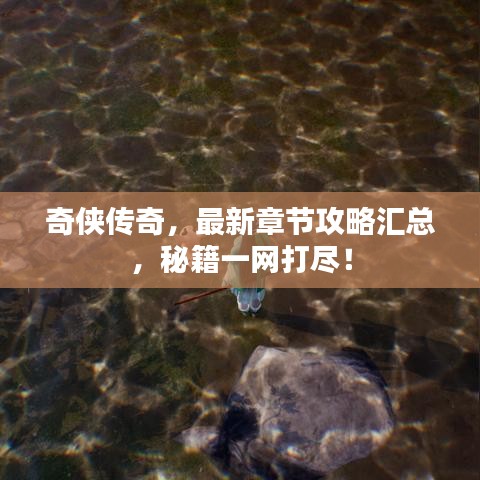 奇侠传奇，最新章节攻略汇总，秘籍一网打尽！