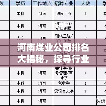 河南煤业公司排名大揭秘，探寻行业领军者的脚步不停歇！
