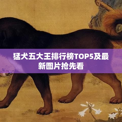 猛犬五大王排行榜TOP5及最新图片抢先看