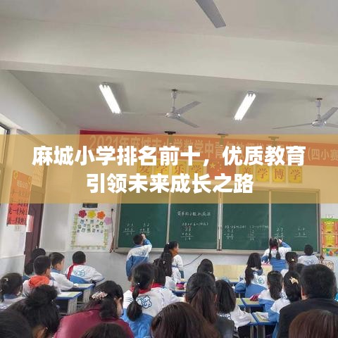麻城小学排名前十，优质教育引领未来成长之路